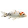 Koi Fish - Image 2